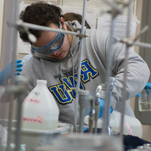 image of RWU undergrad doing research